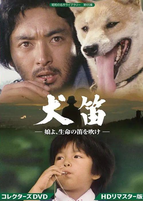 犬笛国语版,穿越时空的忠诚与冒险