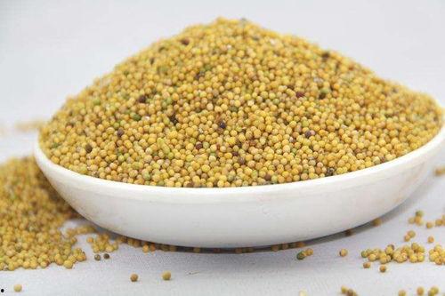 黄芥子图片,香飘四溢的调味佳品