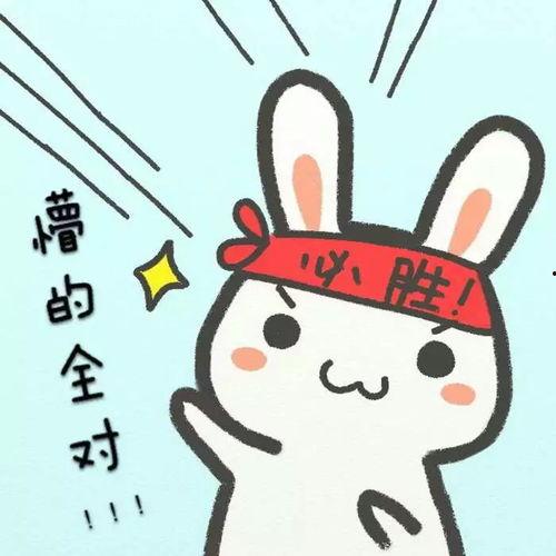 加油表情包图片大全,加油表情包图片大全，瞬间点燃你的激情！