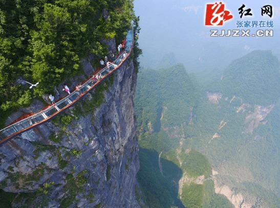 张家界玻璃栈道图片大全,云端漫步，玻璃之巅的惊险奇观