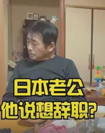 山口 视频 日本,揭秘日本文化魅力之旅