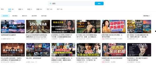 成年人视频网站,内容、影响与监管探讨