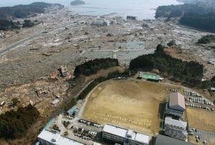 日本sansei,sansei时代的家庭画卷