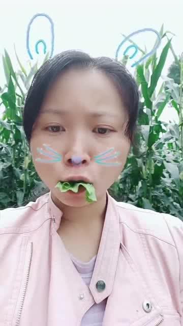 青草草在线观看,探寻青春记忆的绿意盎然