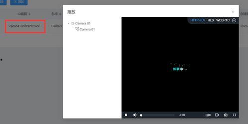 视频国标,探索视频制作新篇章