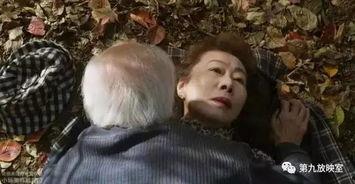 韩国老年电影,韩国老年电影的温馨记忆