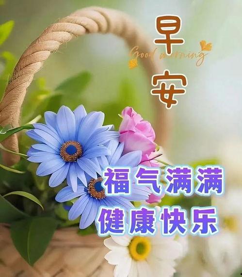 今天早上好图片,今日早间美景图鉴