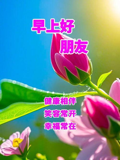 今天早上好图片,今日早间美景图鉴