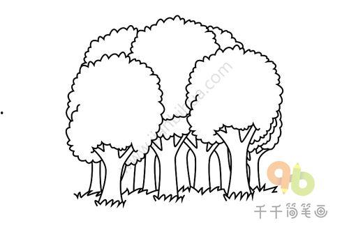 简笔画树木图片大全,自然之美一瞥