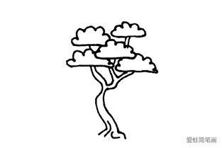 简笔画树木图片大全,自然之美一瞥