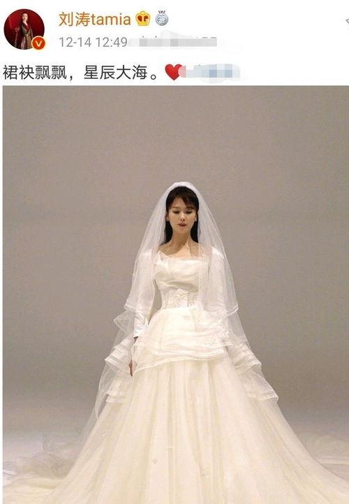 刘涛的婚纱照图片大全,浪漫时光，甜蜜定格
