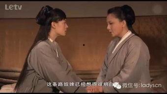 les在线观看x关系,LES在线观看中的情感纠葛与人性探索