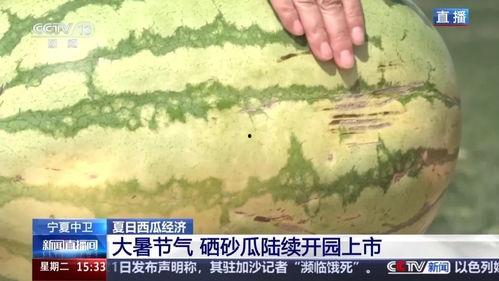今日头条最大的瓜,最大瓜揭秘，真相令人震惊！