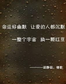 图片大全带字唯美,唯美画卷