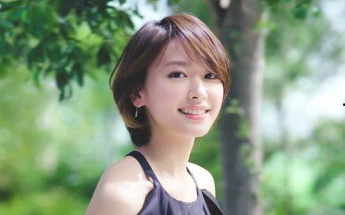 韩星日本,日本舞台绽放光芒