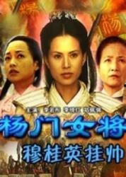 杨门女将国语版,巾帼英雄的传奇征程