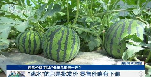 沪上十三姨吃瓜黑料,揭秘娱乐圈背后的黑料风云