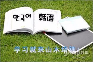 必胜韩国语,轻松掌握韩语入门秘诀