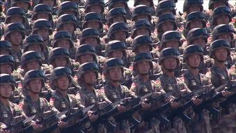 方队 在线观看,在线观看，揭秘军旅青春的荣耀篇章