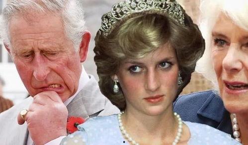 戴安娜视频,揭秘王室传奇背后的真实故事