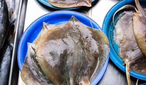 什么鱼吃黑蜜瓜好吃,哪种鱼最钟爱？