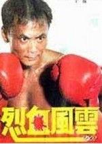 烈血风云国语,烽火岁月里的英雄传奇