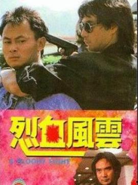 烈血风云国语,烽火岁月里的英雄传奇