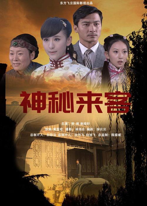 隐秘来客在线观看,揭秘神秘访客背后的惊悚故事