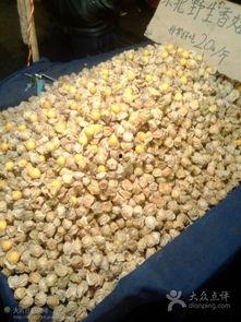 东北黄姑娘图片大全,美丽与智慧的化身