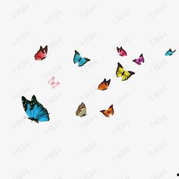 飞舞图片,捕捉自然之美