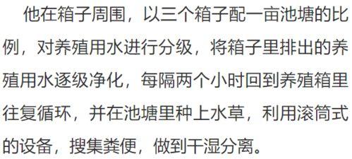 吃瓜黑历史正能量文案怎么写