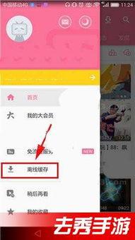 bilibili缓存视频,带你一探究竟的幕后故事